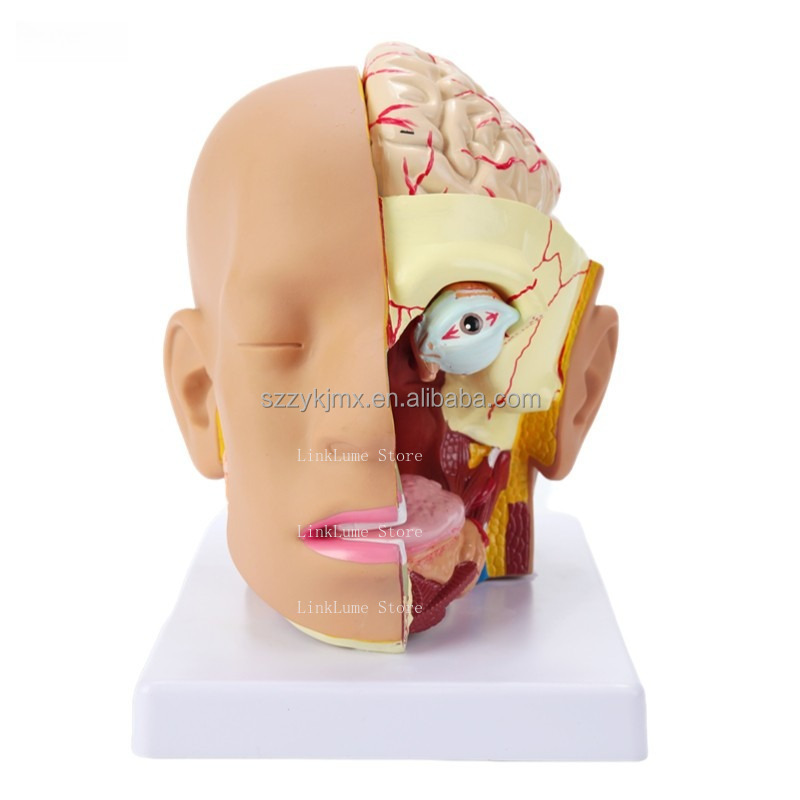 Medical Science Resource Human - Medical Lab And Science ulasan dan harga