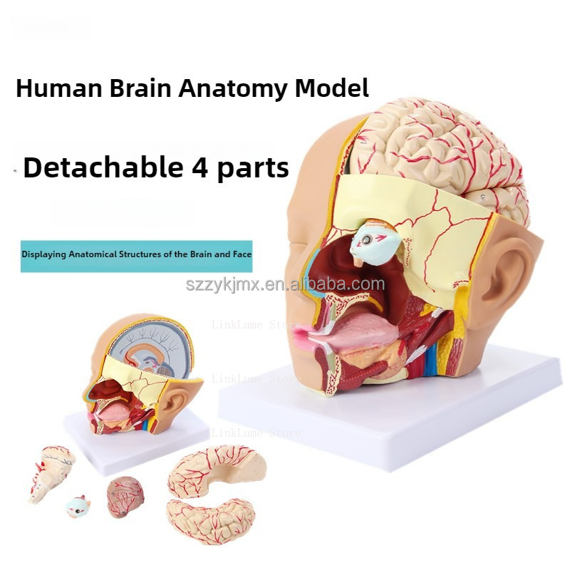 Medical Science Resource Human - Medical Lab And Science ulasan dan harga