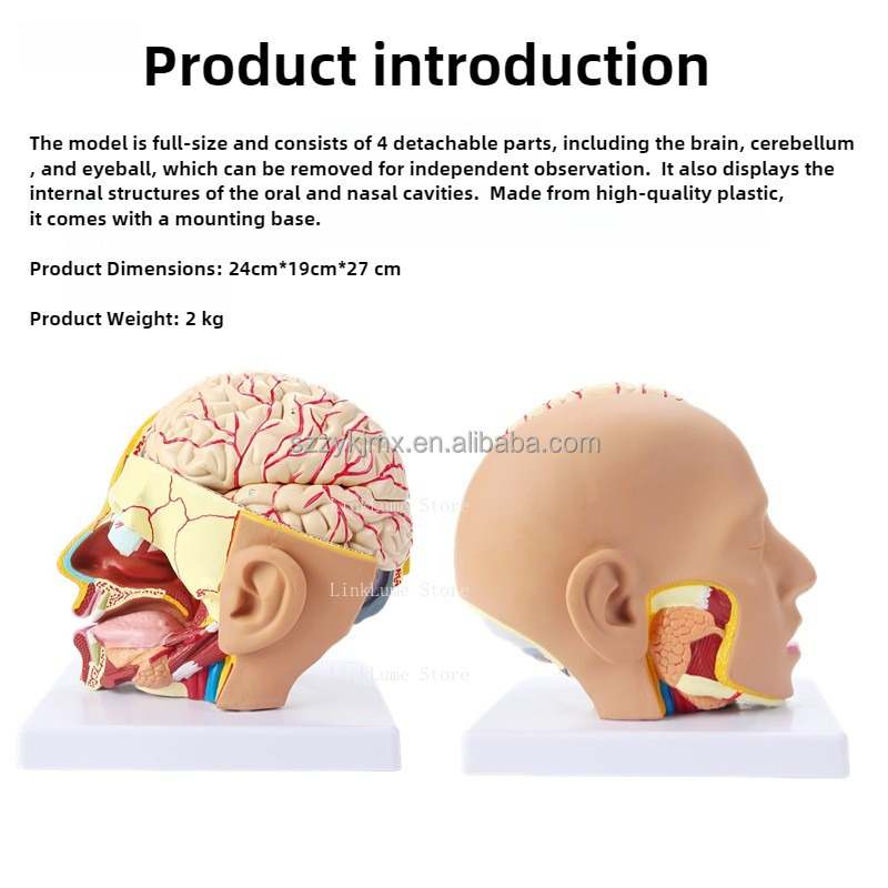 Medical Science Resource Human - Medical Lab And Science ulasan dan harga