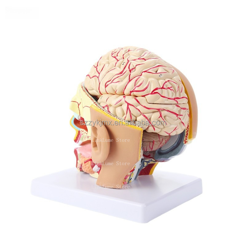 Medical Science Resource Human - Medical Lab And Science ulasan dan harga