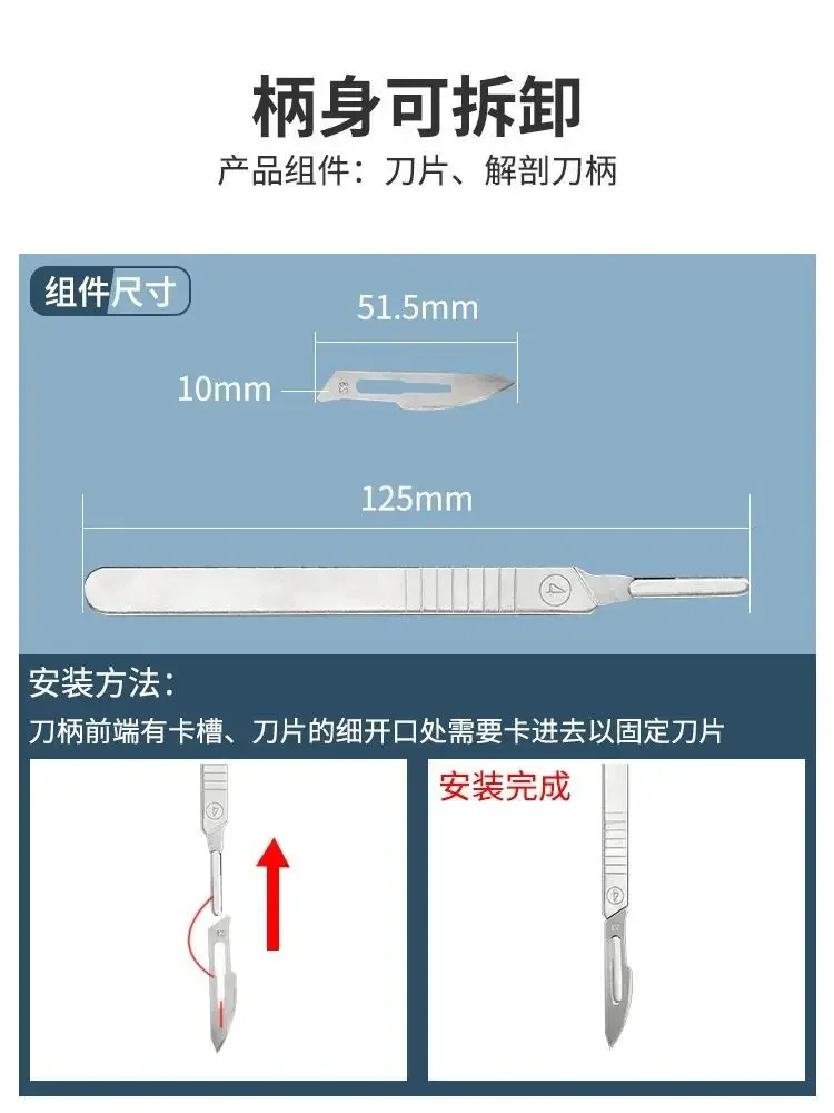Stainless Steel Insect Dissect - Medical Lab And Science ulasan dan harga