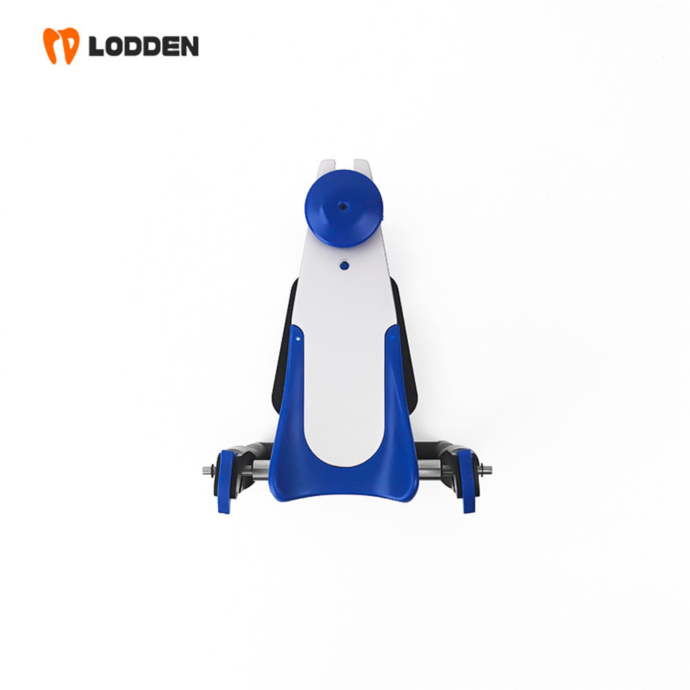 LODDEN BN Value Articulator Mi - Medical Lab Values ulasan dan harga